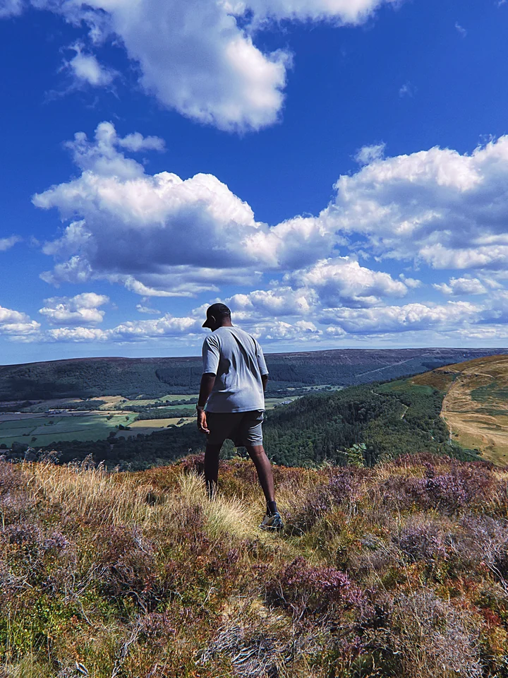 A walker on a heather-covered hill with an expansive blue sky and clouds
